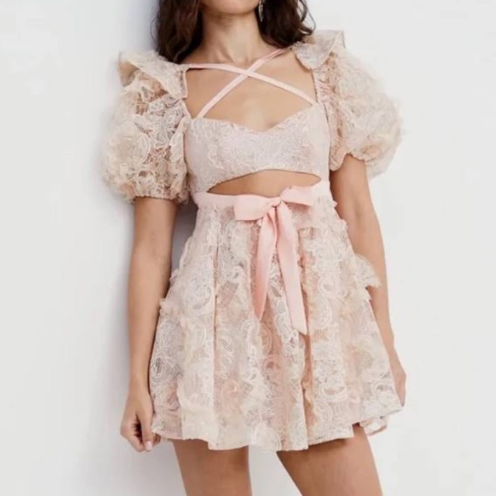 For Love And Lemons Ruffled Lace Mini Dress in Cream and Pink - Picture 2 of 11